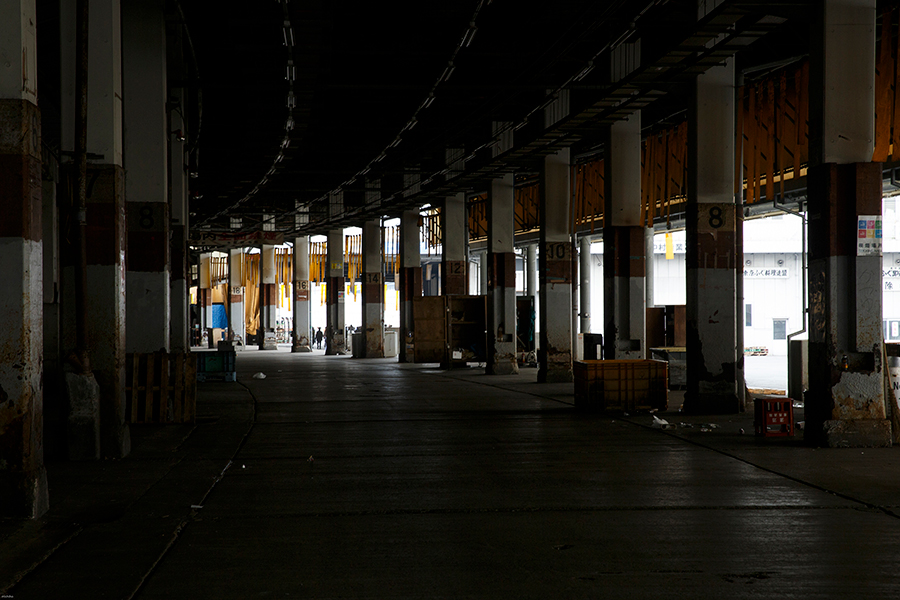 築地市場豊洲市場開場日